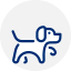 Dogs Welcome