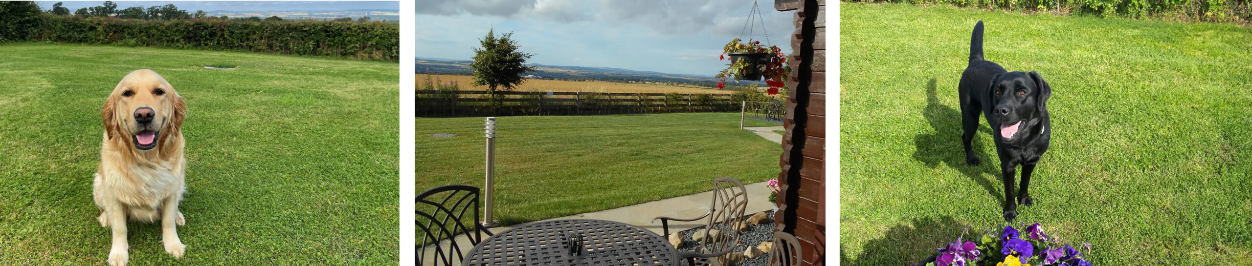 Green Pastures Lodges 